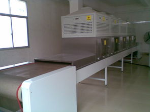 廣東福滔 微波牛肉干燥殺菌機廠家直銷，以卓越品質引領行業標準